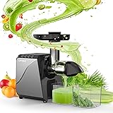 Cold Press Juicer for Celery Carrot
