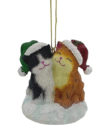 Amazon.com: Cute Cuddly Cats Holiday Snow Globe by The San