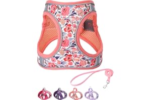 FLYMIND Step in Dog Harness and Leash Set, Flower Adjustable Easy Walk Puppy Harnesses, Soft Mesh Pet Vest Harness Small Size Dog Adjustable No Pull Dog Harness for Small Medium Dogs(Pink, XS)