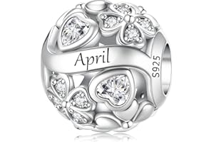 LNQOBU 925 Sterling Silve Lucky Birthstone Charm for Bracelets, With 5A Cubic Zirconia Birthday Charms Dangle Pendant Bead fo