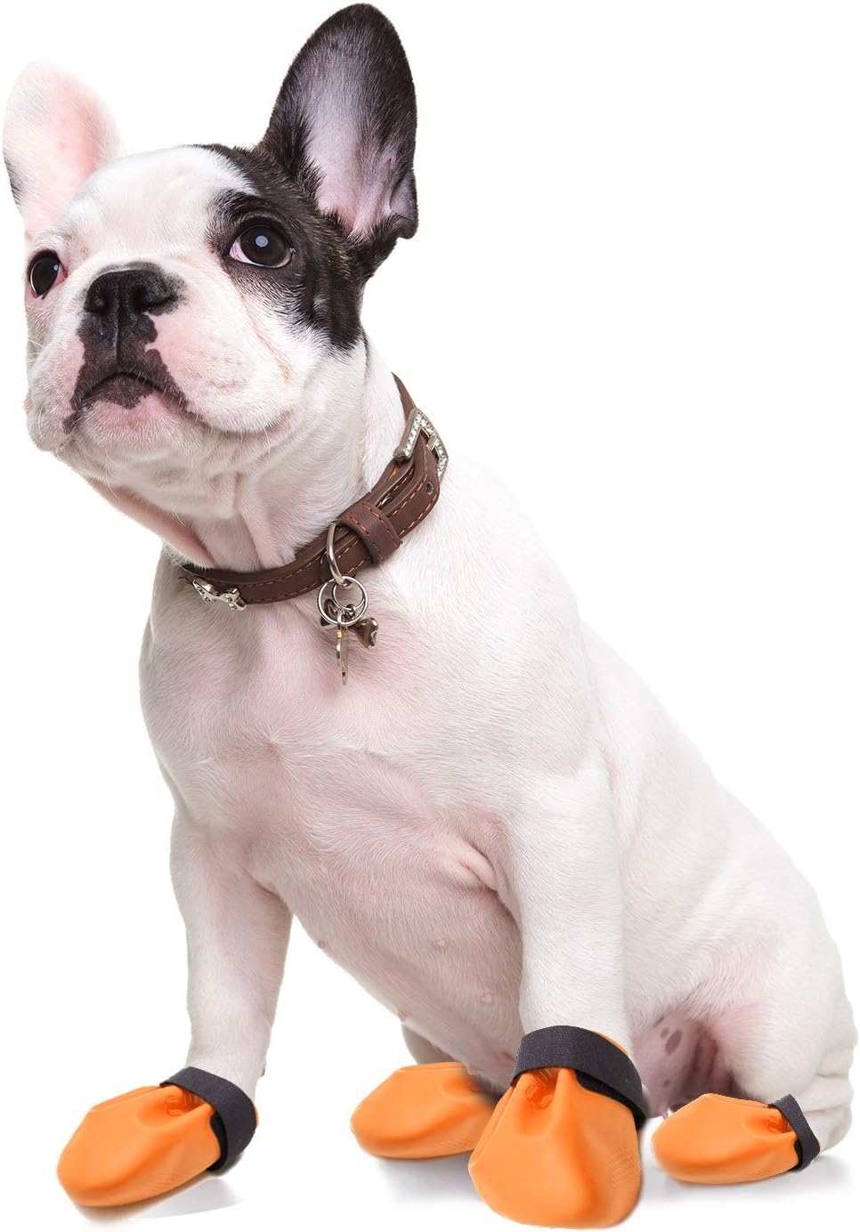 Paw Control Waterproof Easy-On Adjustable Velcro Strap Biodegradable Protective Dog Boots with Non-Slip Grips for All Weather, Suitable for Small, Medium, Large Dogs in Assorted Colors, Multipacks