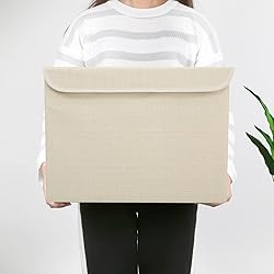 Bagnizer Large 42 Quarts Collapsible Stackable