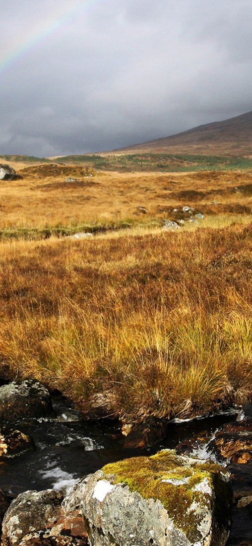 PeelitStickit, Beautiful Nature Wall Murals, ID-1343, vinyl