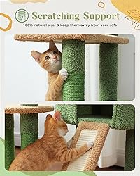 PEQULTI 53'' Cat Tree for Indoor Cats, Green Cat