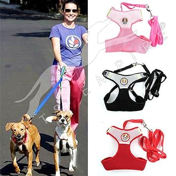 Pets Empire Mesh Fabric Puppy Dog Vest Harness Soft Adjustable Comfortable| Pet Lead Chest Walking Leash with Clip Size Small-1 Set Leash Harness Color May Vary