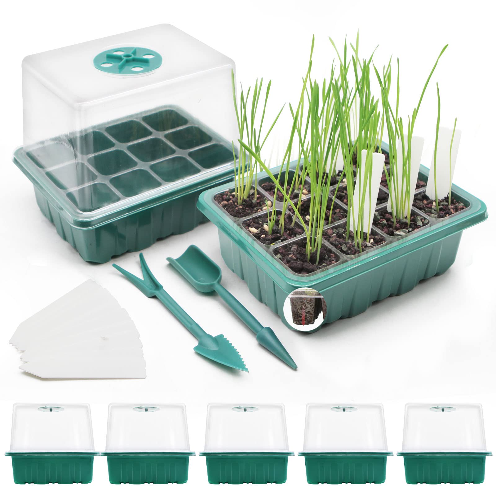 MQFORU Seed Trays，5 Pack 60 Cells Propagator Growing Thicken Seedling Starter Growing Trays Seedling Tray Kits with Clear Lids/Adjustable Window for Greenhouse Grow Plant Seed