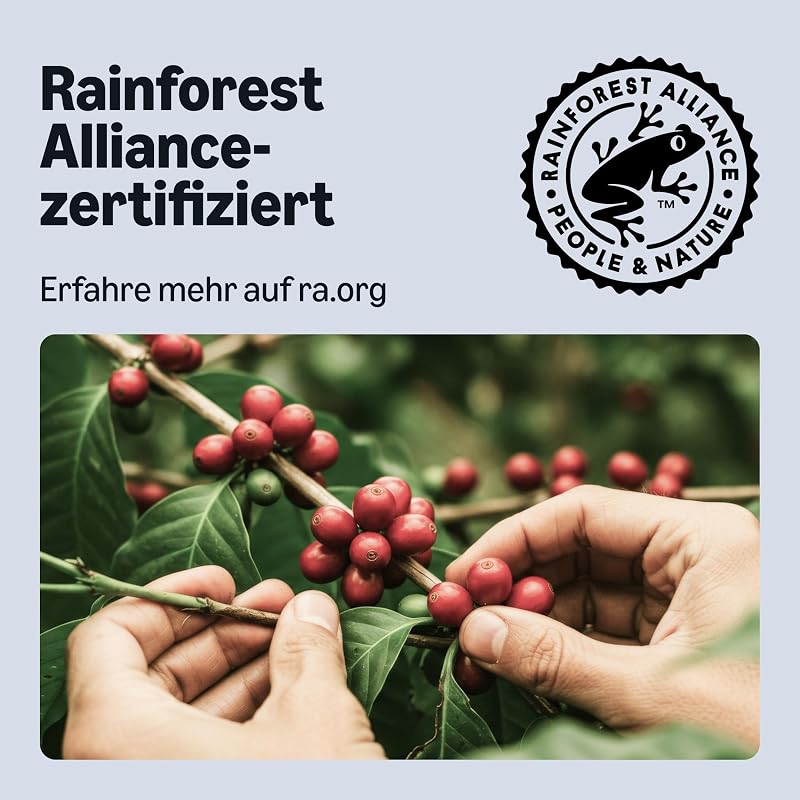 Ristretto Aluminium-Kaffeekapseln, kompatibel mit Nespresso, 100 Stück (5 Packungen mit je 20 Stück) – Rainforest Alliance zertifiziert
