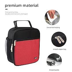 Lovoeo Lunch box Lunch bag for men women Insulated