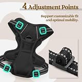 rabbitgoo Dog Harness Small No Pull Front Back Clip Adjustable Reflective XS view 5