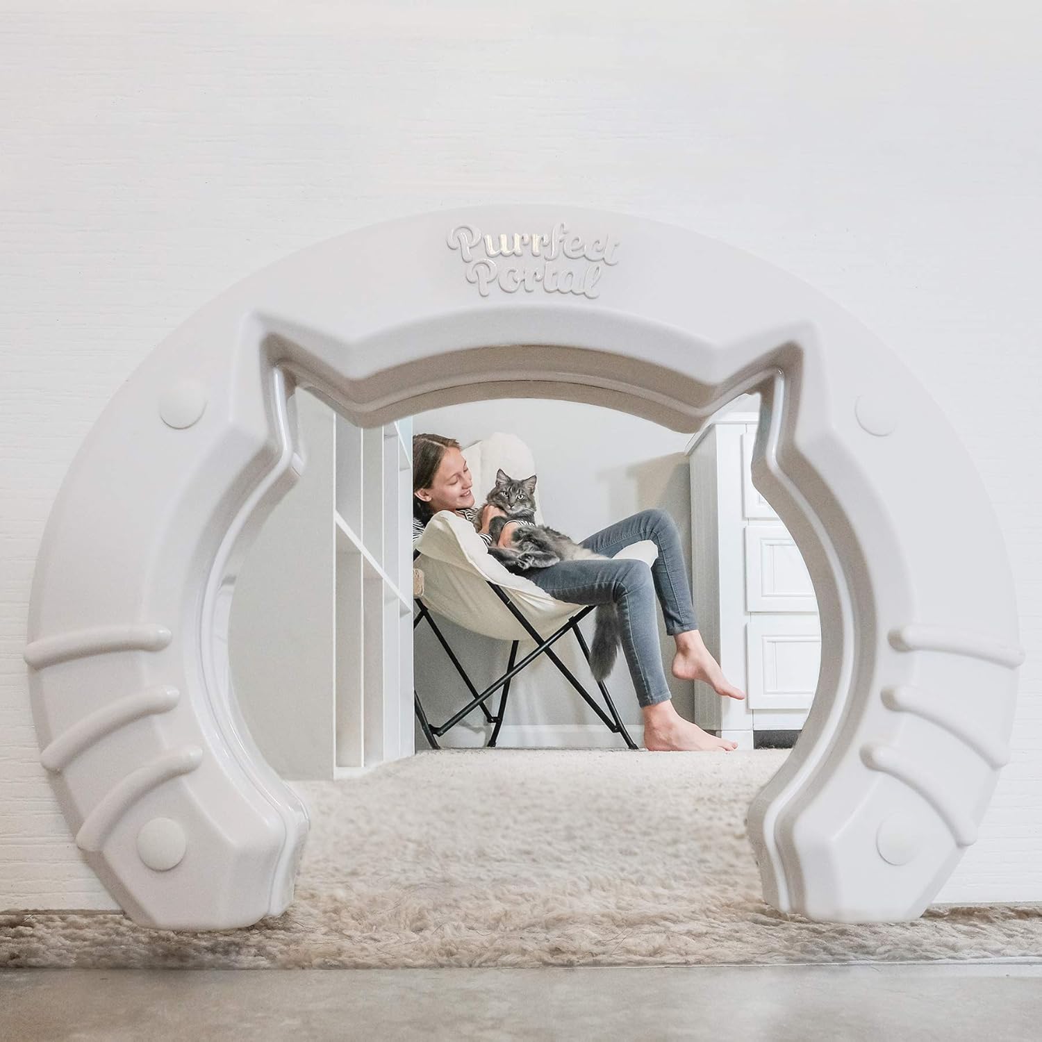 Cat Door Built In Interior Pet Door for Small, Medium, & Large Cats - Cat Doors for Interior Doors - Hole Pass Fits Indoor Hollow Core or Solid Inside Doors - Hidden Kitty Litter Box Cat Furniture : Pet Supplies