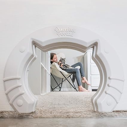 interior door with pet door built in