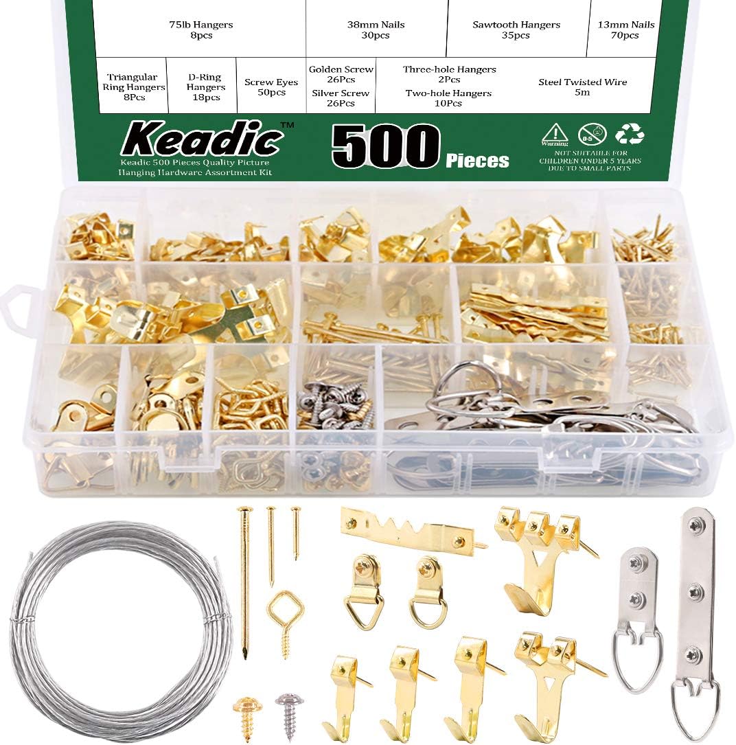 Keadic 500 Pieces Quality Picture Hanging Hardware Assortment Kit, Including Heavy Duty Frame Hooks with Nails, D Rings, Wires, Sawtooth Hangers and Extra Storage Box, for Wall Mounting