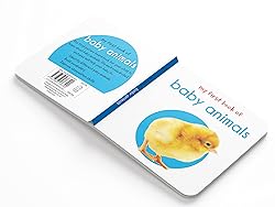 My First Complete Learning Library: Boxset of 20