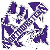 Desert Cactus Northwestern University Wildcats Sticker Vinyl Decals Laptop Water Bottle Car T2 (Type 2-2)