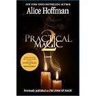 The Book of Magic (Practical Magic 2): A Novel (The Practical Magic Series 4)
