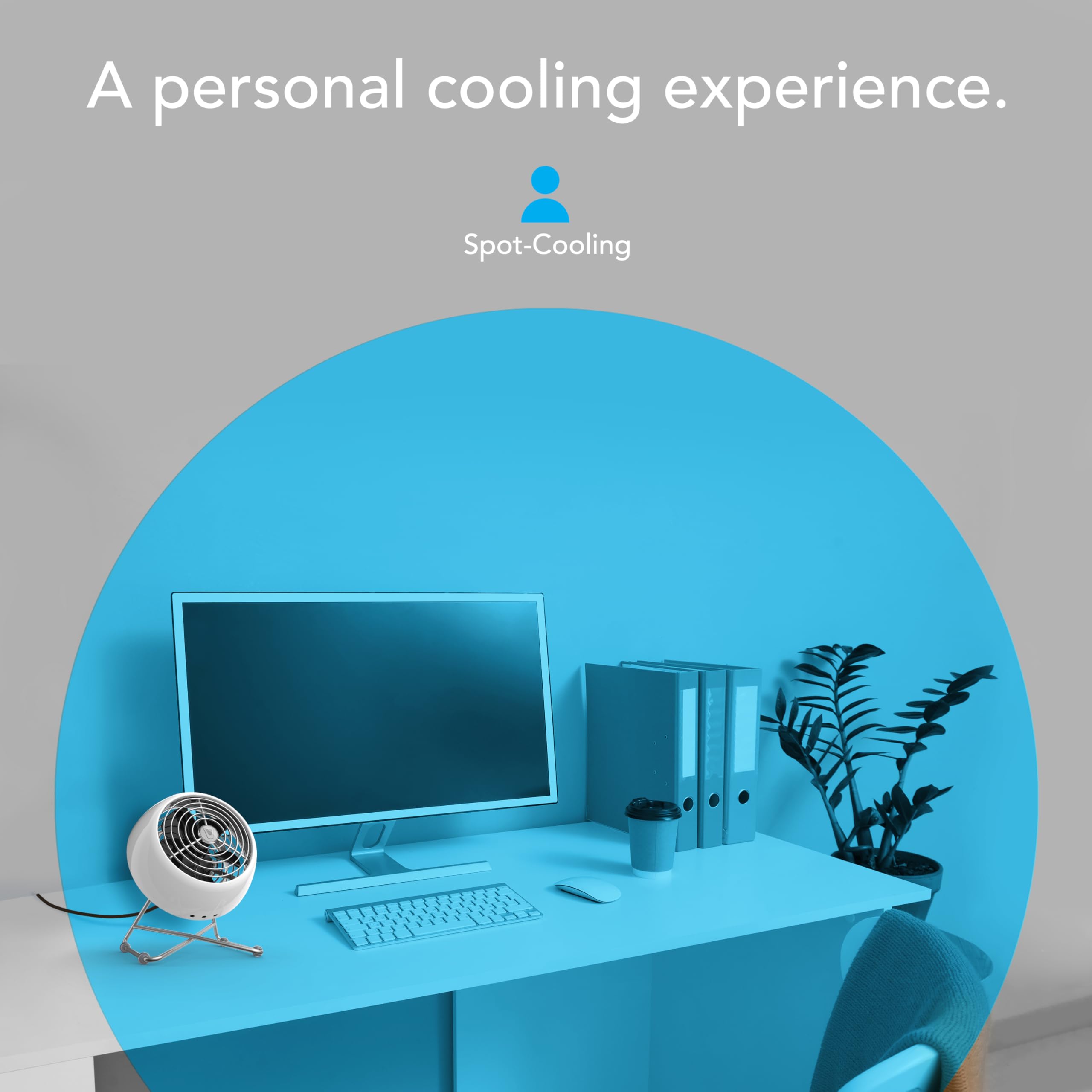 Vornado VFAN™ Mini Modern Vintage Fan, Retro Metal Air Circulator, Fan for Desk & Bedside, 2 Speeds, Adjustable Tilt, Personal Cooling with Targeted Airflow, Quiet Fan, Ice White