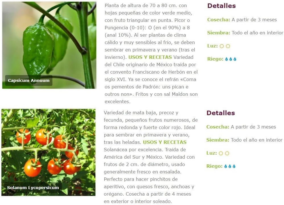 Huerto Urbano KIT Cultivar Hortalizas en Casa – Mesas Cultivo ...