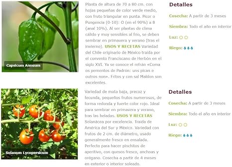 Huerto Urbano KIT Cultivar Hortalizas en Casa – Mesas Cultivo ...