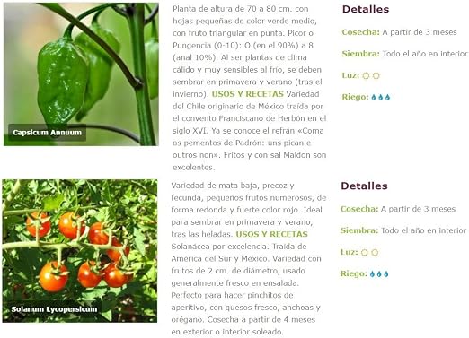 Huerto Urbano KIT Cultivar Hortalizas en Casa – Mesas Cultivo ...