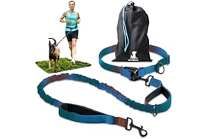 SparklyPets - Hands Free Dog Leash with Reflective Stitches - Waist Leash for Male Dog Walking, Hiking, Training, Jogging, Canicross, Running - Medium & Large Dogs, Gradient Blue