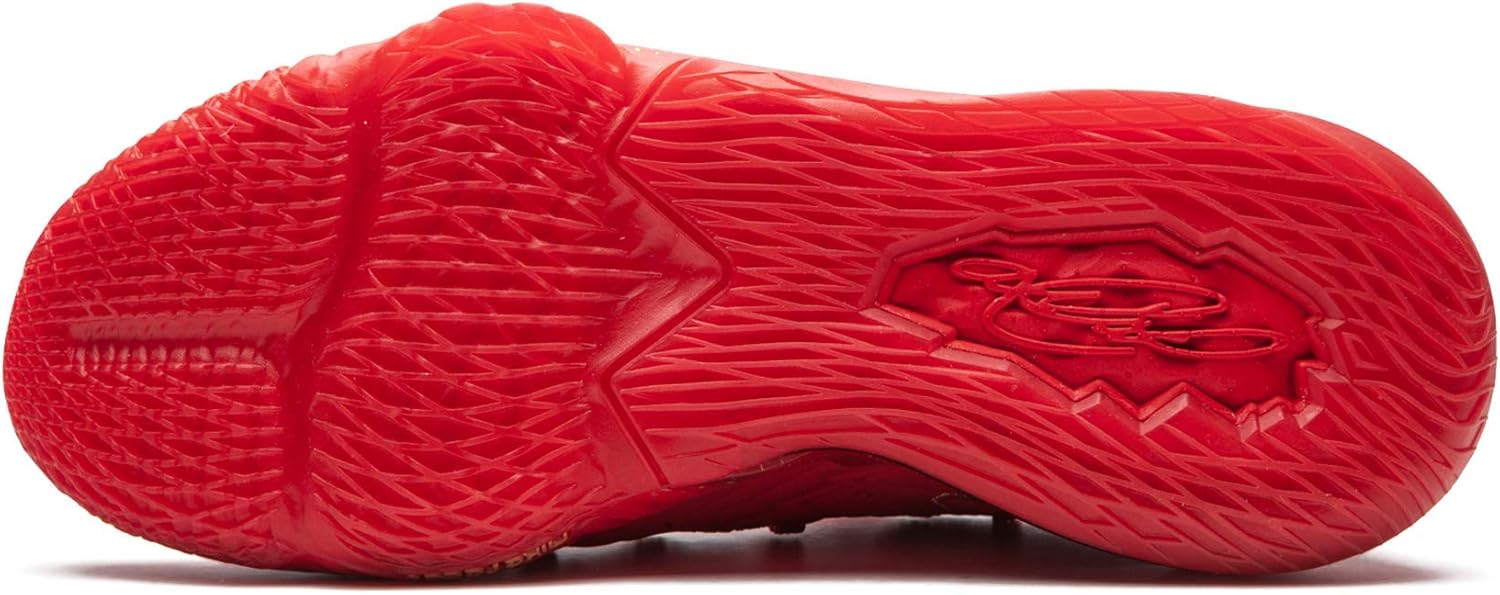 titan x lebron 17 low