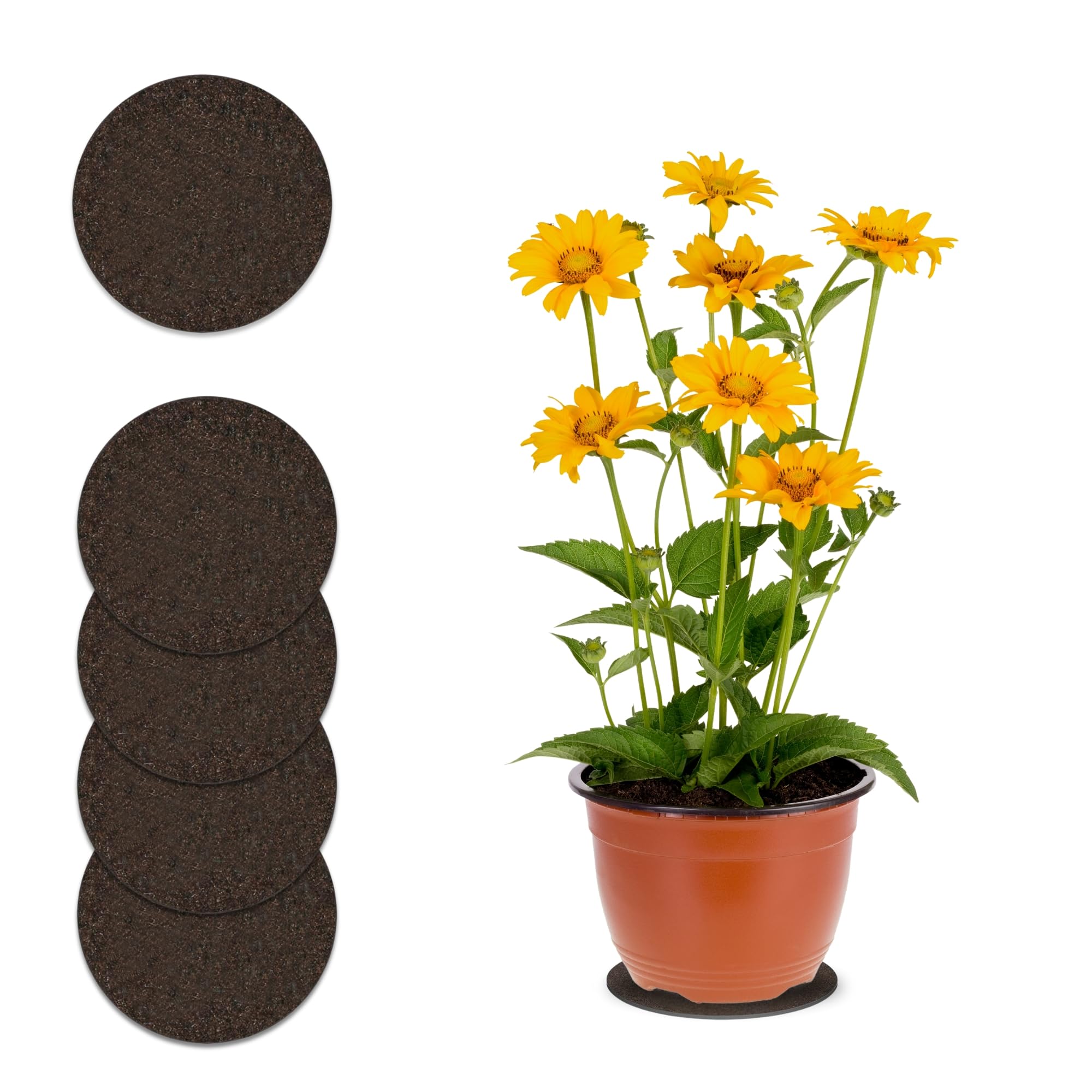 Curtis Wagner Plastics Corp. MA-800 Fabric Plant Mat (8" Diameter, Walnut Brown, 5-Pack) - Round Fabric Plant Coasters - Use as Planter, Coaster or Pads for your Arts & Crafts
