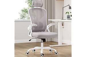 Farini Ergonomic Office Chair, Mesh Office Desk Chair with Headrest, High Back Computer Chair with Flip-up Armrests and Adjustable Lumbar Support.for Home Office Study Room Bedroom, Gray.