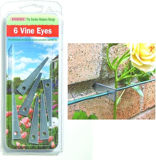 Vine Eyes [6] Amazon.co.uk Kitchen & Home