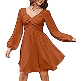 Florboom Women's Sweetheart Knot Front Dress Lantern Long Sleeve Smocked Back A-Line Chiffon Mini Dresses