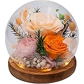 HUACHIPLUS Eternal Flowers for Decoration: Preserved Flowers in Glass Dome, Unique Forever Flowers Gift for Her BBF – Perfect Decorative Flowers for Home Décor - Flowers for Delivery Prime (Champagne)