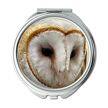 Amazon Com Yanteng Mirror Compact Mirror Owl Ears Owl Bird Pocket