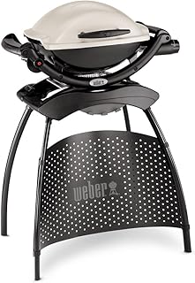 Weber Q1000 Gasgrill mit Stand, Farbe Titan, 50060379