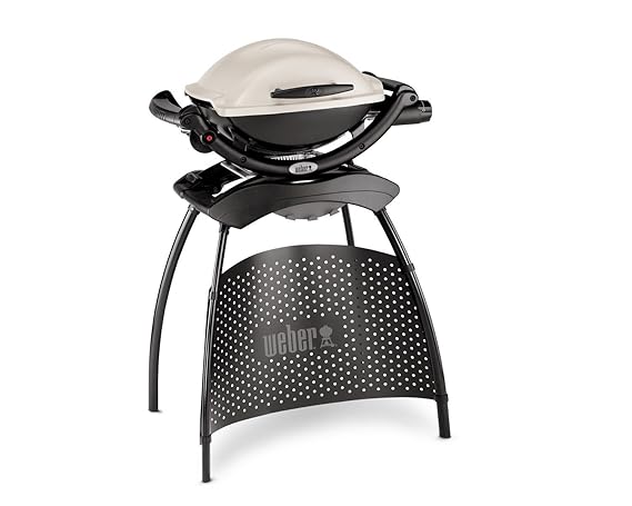 Weber Q1000 Stand Gasgrill Titan