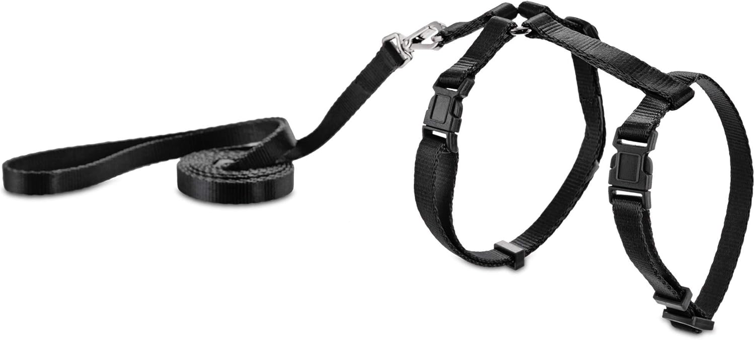 Harness and lead set Clearance