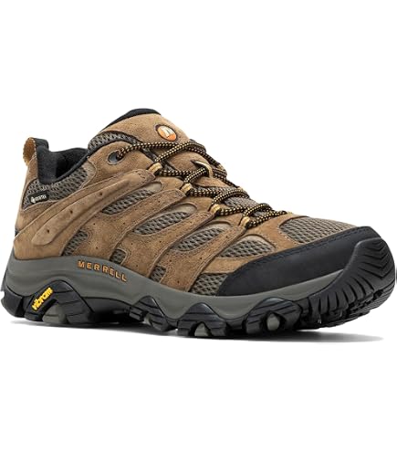 Amazon.com | Merrell Men's Moab 3 Ready Zip Hiking Shoe, Basalt