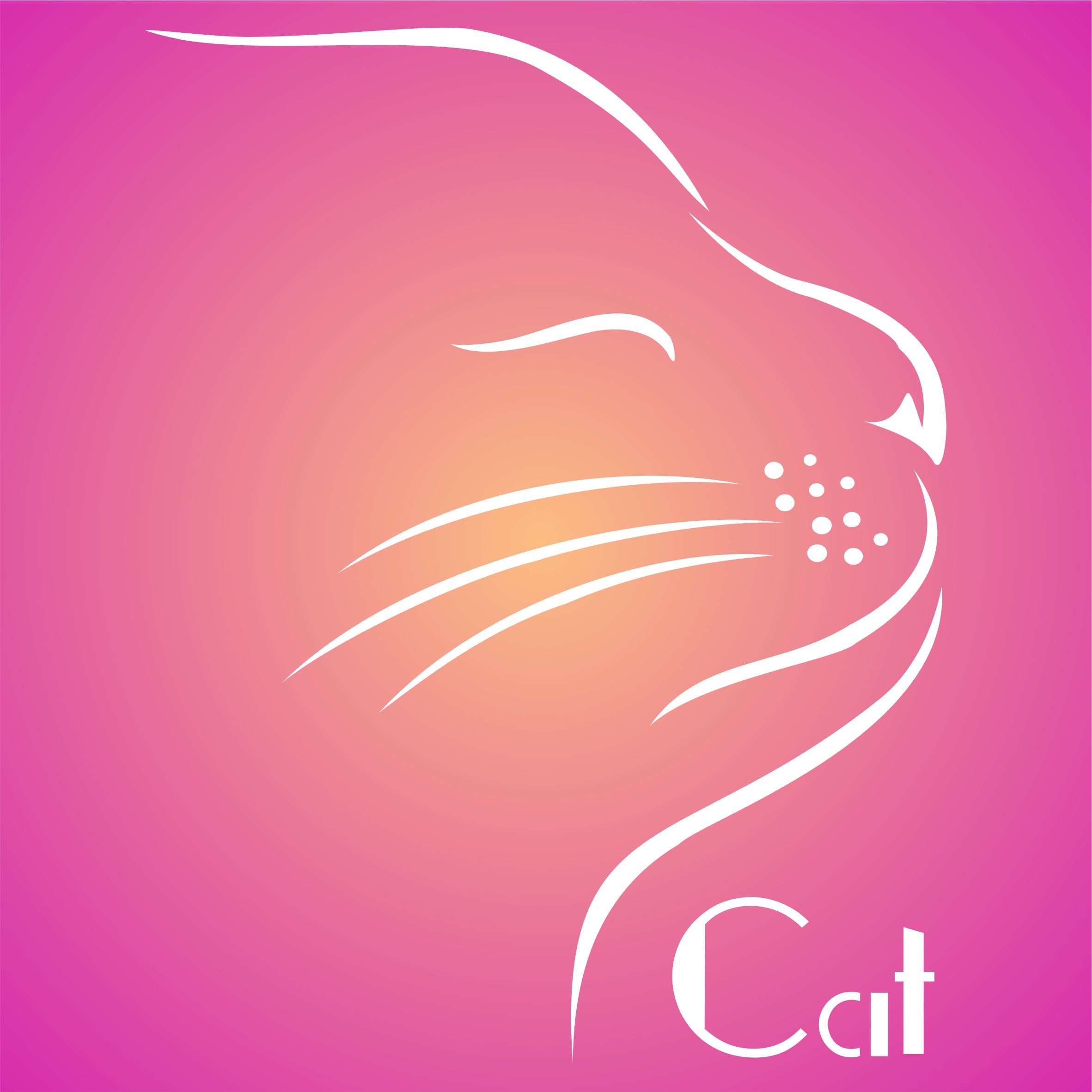 Cat Stencil - 16.5 x 21.5cm (L) - Reusable Pet Animal Wall Stencil Template