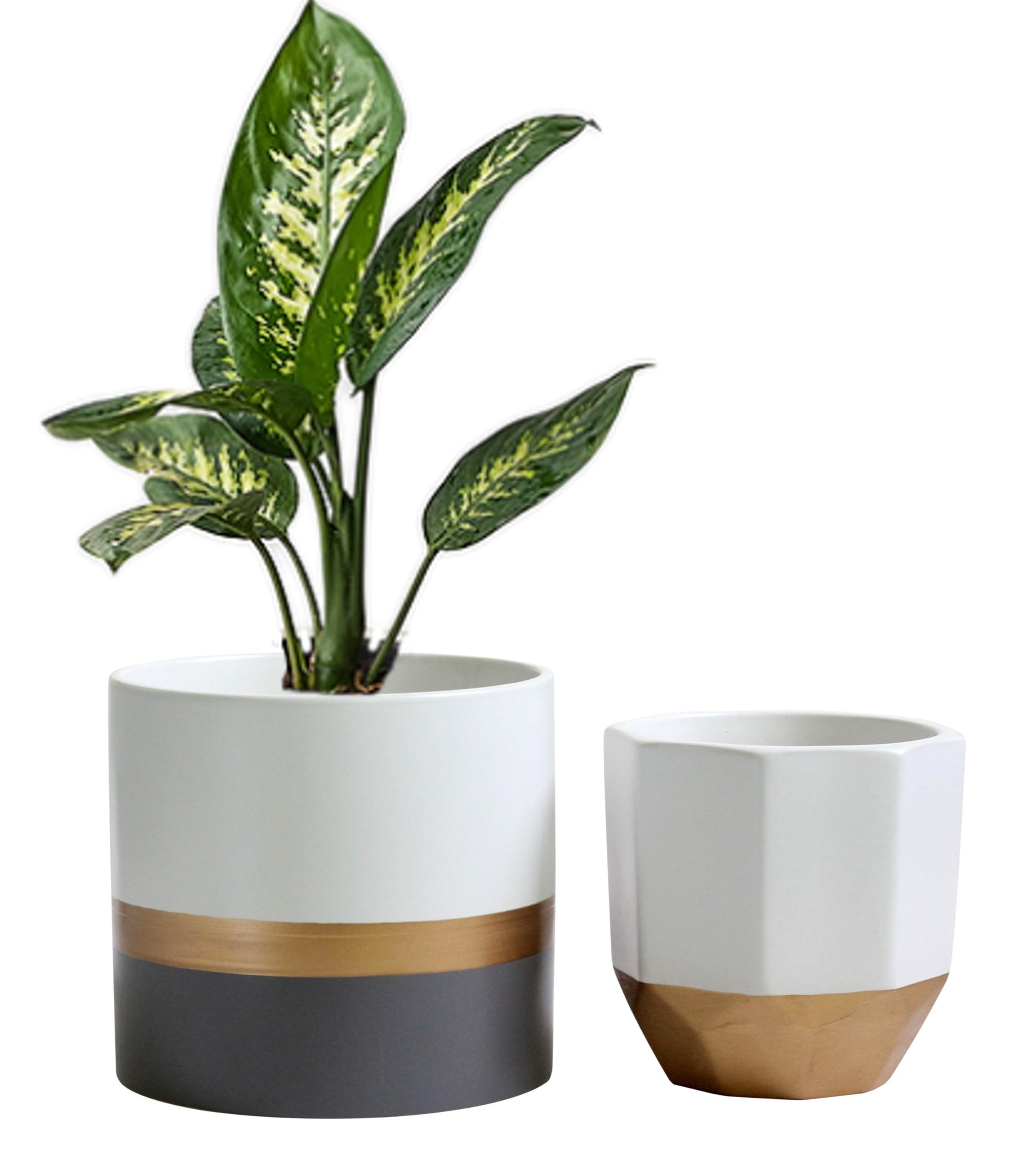 Olly & Rose Salih White Grey and Gold Stripe Plant Pot Set 2 Ceramic Planter Set for Indoors and Outdoors