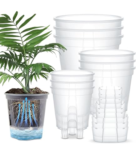 Amazon.com : ORFOFE Self Watering Planter Easyplant Pot Water Window Abs  Material Safe for Plants : Patio, Lawn & Garden