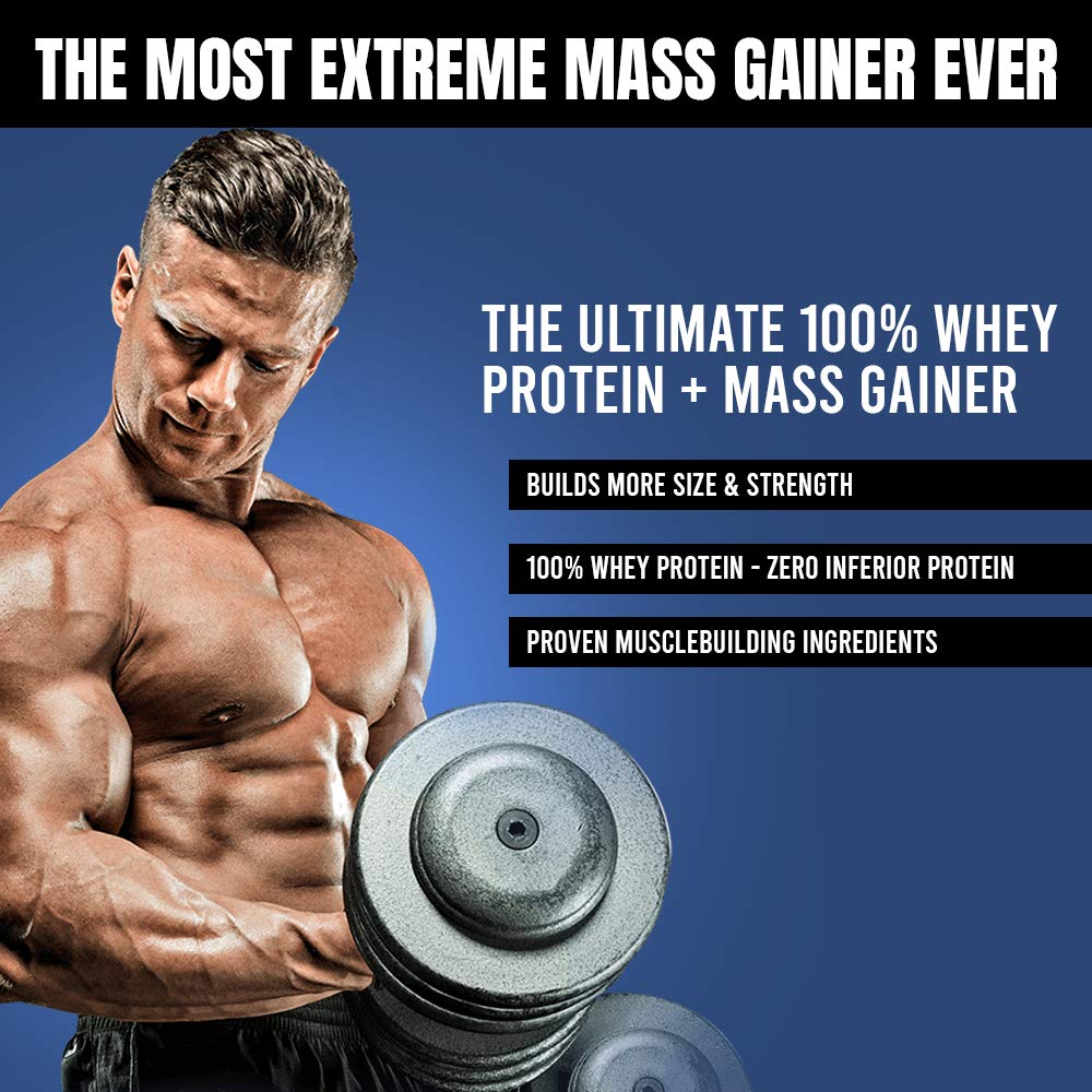 Mass Gainer Powder | MuscleTech Mass-Tech Extreme 2000 | Whey Protein Muscle Builder for Men & Women |Creatine Monohydrate + Carbs | Max-Protein for Weight Gain | Vanilla, 7 lb