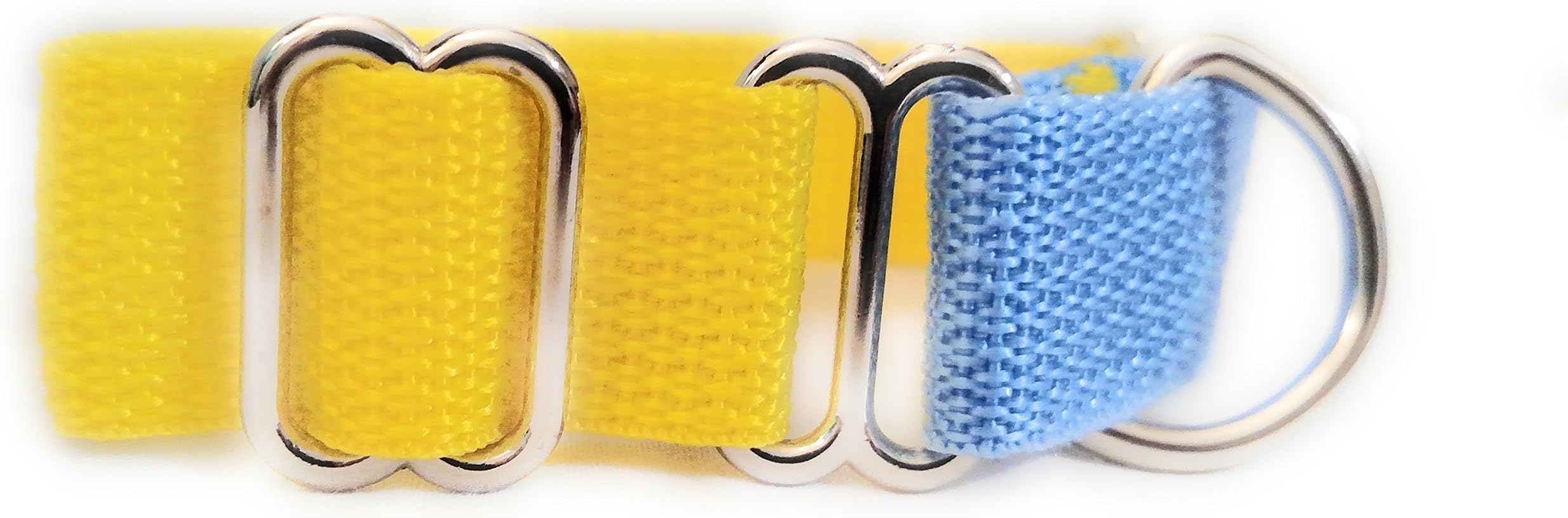Yellow and Baby Blue Martingale Collar
