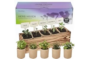 HERBSY 5 Herb Garden Kit with Wooden Box - Including Basil, Thyme, Parsley, Rosemary, Mint, Window Herb Garden for Kitchen, Gardening Gifts for Mom Women, Men, Gift Ideas for Christmas, Housewarming