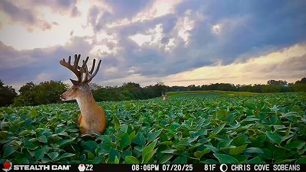 STEALTH CAM REVOLVER PRO 2.0 360° CELLULAR CAMERA 40MP, 1-6 ZONE ON-DEMAND AND LIVE VIEW, 0.4 SEC TRIGGER, BUILT IN MEMORY, HD PHOTO AND VIDEO