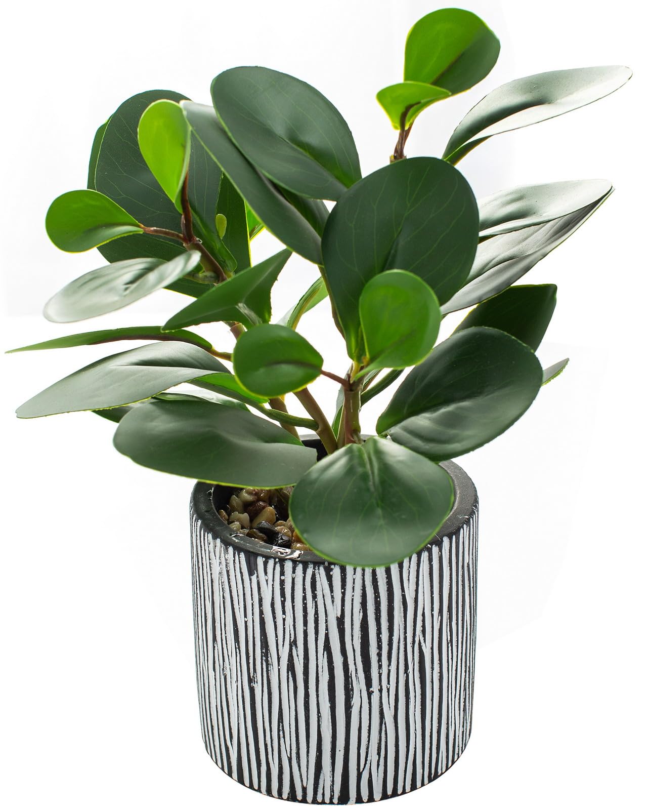 AlphaAcc Small Plants for Shelf Decor Real Looking Greenery Artificial Plants Indoor Potted Fake Plant with Rustic Black Clay Planter (ARTGRS230609-2)
