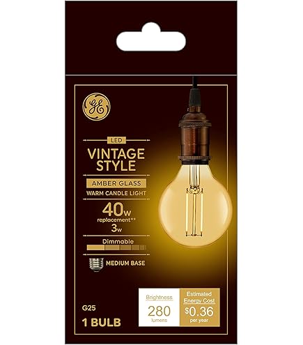 GE General Electric Vinta Small 40W Amber ST19 (2-Pack) - Amazon.com