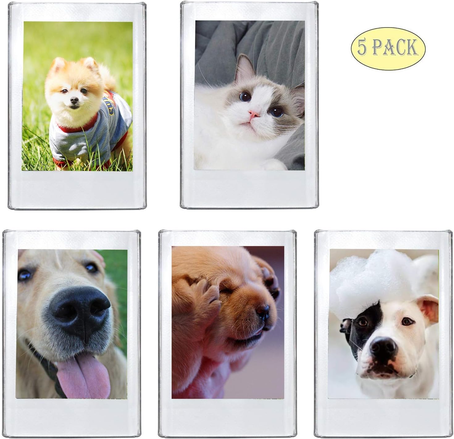 Cpano Acrylic Fridge Magnetic Sided Photo Frame for Fujifilm Instax 9 8 8s 25 26 50s 70 7s 90 Film/Polaroid Instant Film, Clear, Pack of 5