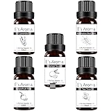 E's Aroma アロマオイルセット 100%純正 エッセンシャルオイル 厳選精油 10ml 5本セット プレゼントに最適 ラベンダー オレンジスウィート グレープフルーツ・ピンク ティーツリー ユーカリ･ブルーガム (スタンダード)