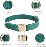 YUDOTE Ultra-soft Corduroy Dog Collar Medium 31-49cm Green view 3