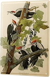LEotiE SINCE 2004 Tin Sign Metal Plate Decorative Sign Home Decor Plaques 30 x 40 cm Bird Pileated Woodpecker