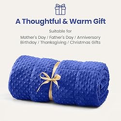 Wemore Minky Dot Weighted Blanket for Adults Queen