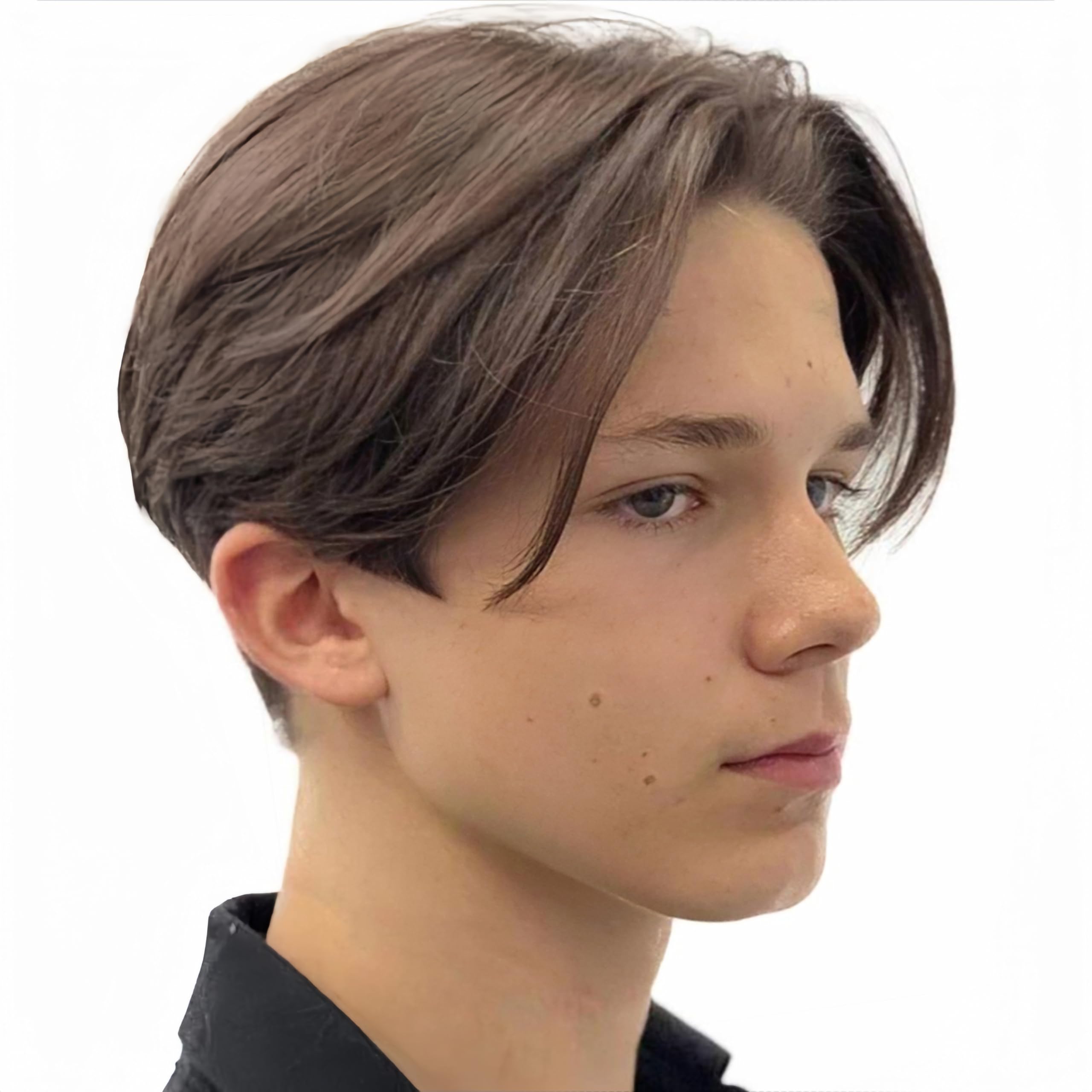 Salaibs Brown Short Wigs for Men Middle Part Straight Hair Wig Synthetic Fiber Daily Wig